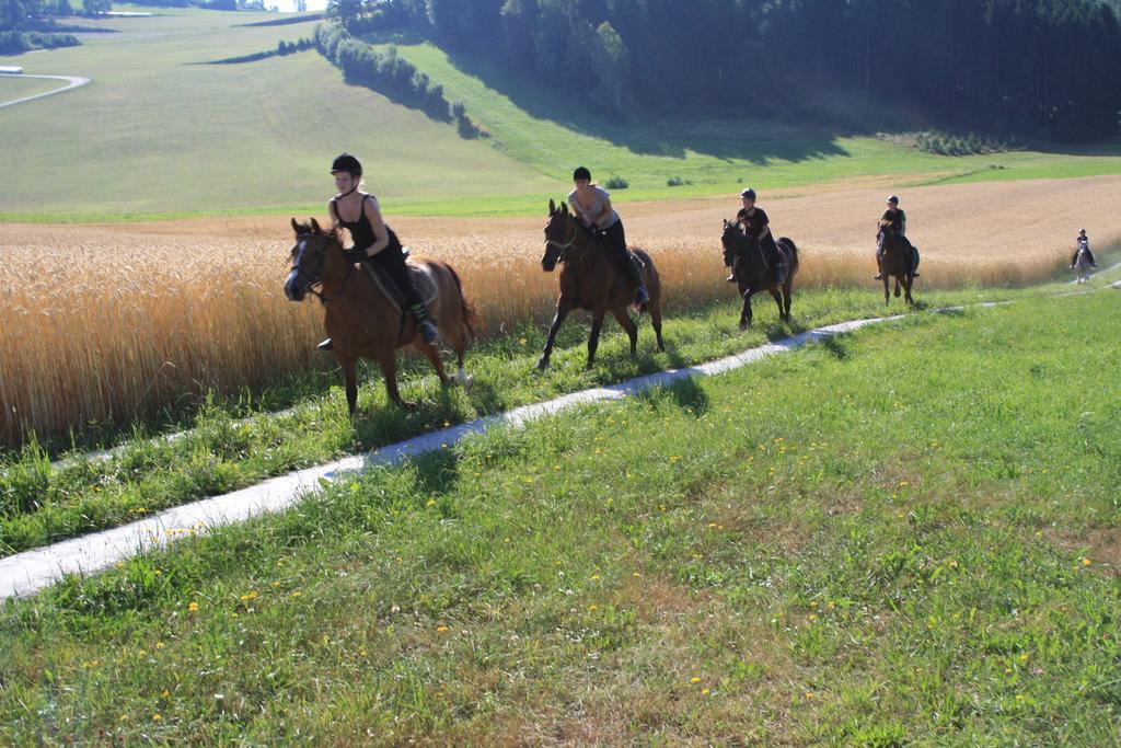 Sportpension Ramlhof Kollerschlag Buitenkant foto